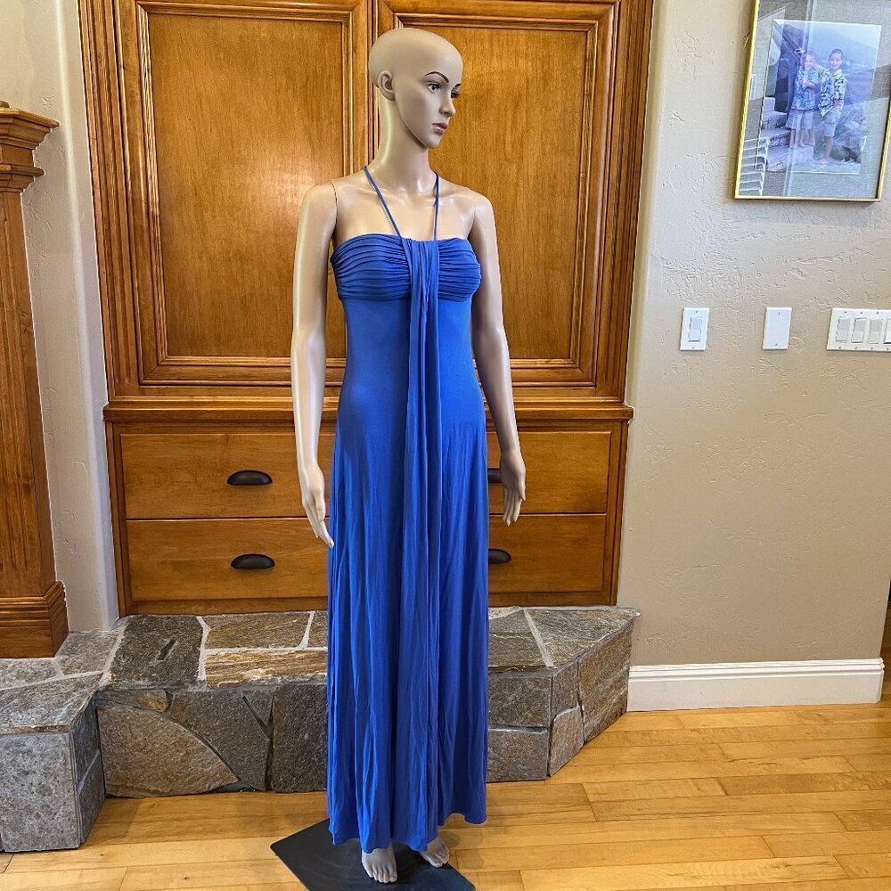 BCBG Max Azria Periwinkle Blue Maxi Dress Size XS NWT